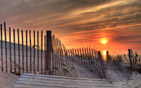 Summer wallpapers19